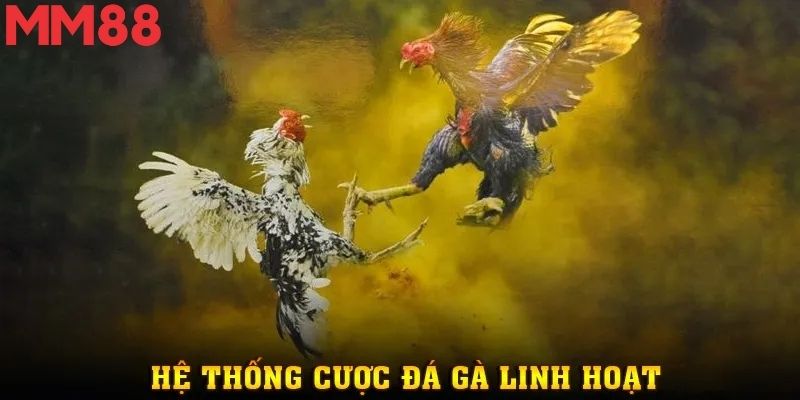 Đá Gà MM88 - Chốn Cá Cược Kịch Tính Cho Người Đam Mê Thật Sự 2 Giao diện đá gà tại MM88 hiển thị rõ ràng, dễ thao tác